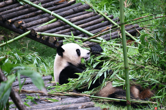 kiềm linh sơn