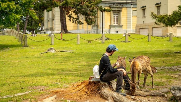 Công viên Nara, tour Nara Nhật bản