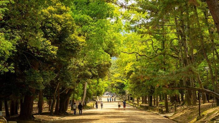 Công viên Nara, du lịch Nara