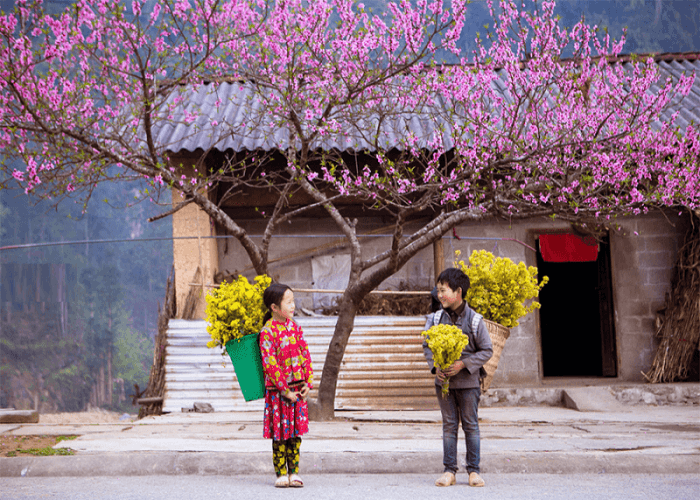 mùa hòa đào trên Hà Giang