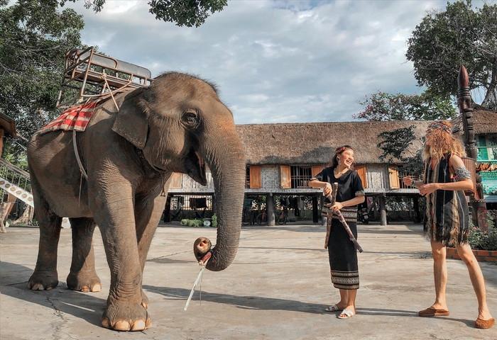 Voi ở làng Buôn Đôn