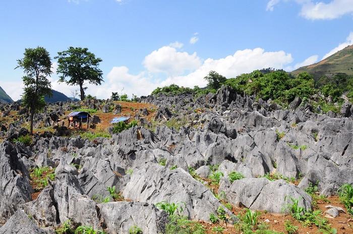 cao nguyên đá tủa chùa - điện biên