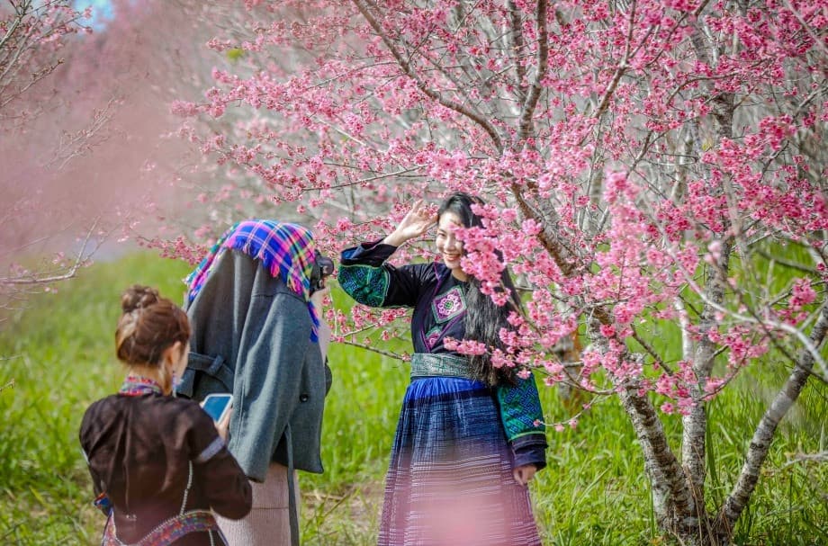 Du lịch Điện Biên mùa hoa anh đào