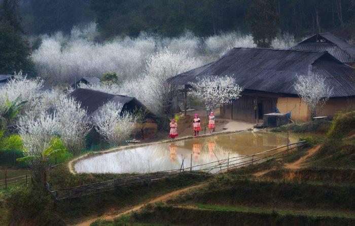 Tả Van Chư, du lịch đầu năm Hà Giang