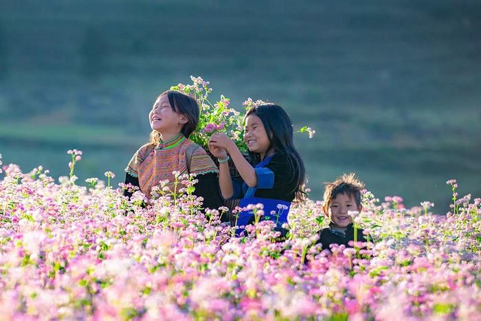 Hoàng Su Phì, du lịch đầu năm miền bắc