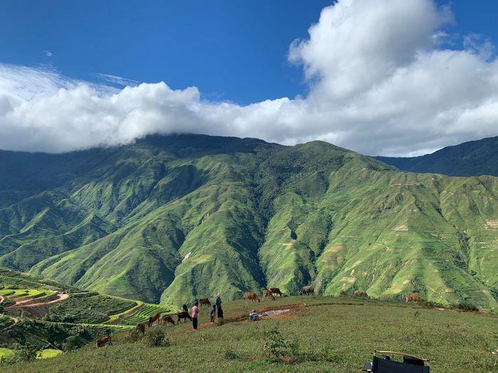 Săn mây tà xùa, tour tết nguyên đán 2025