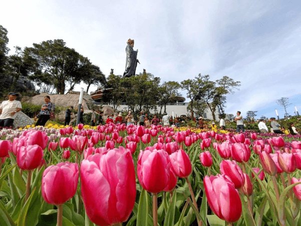 núi bà đen tây ninh