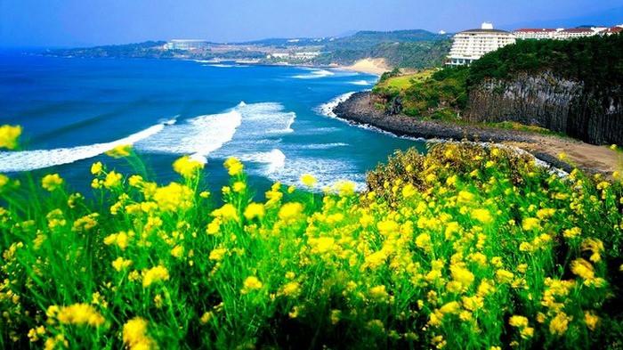 Nét đẹp thơ mộng của hòn đảo Jeju