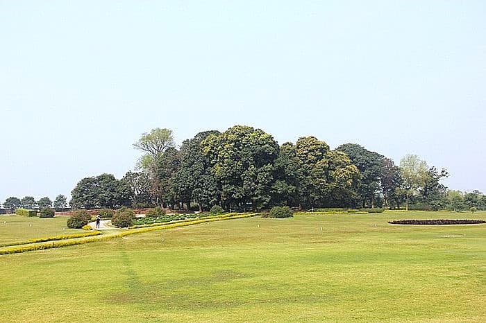 Vườn xoài Jivaka 