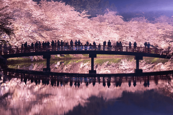 Lễ hội hoa anh đào Hirosaki, tour ngắm hoa anh đào Nhật Bản