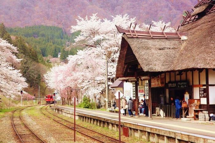 Ga Yunokami-Onsen , du lịch Nhật Bản mùa hoa anh đào