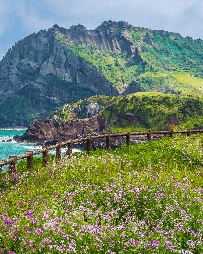 thắng cảnh seongsan Ilchulbong