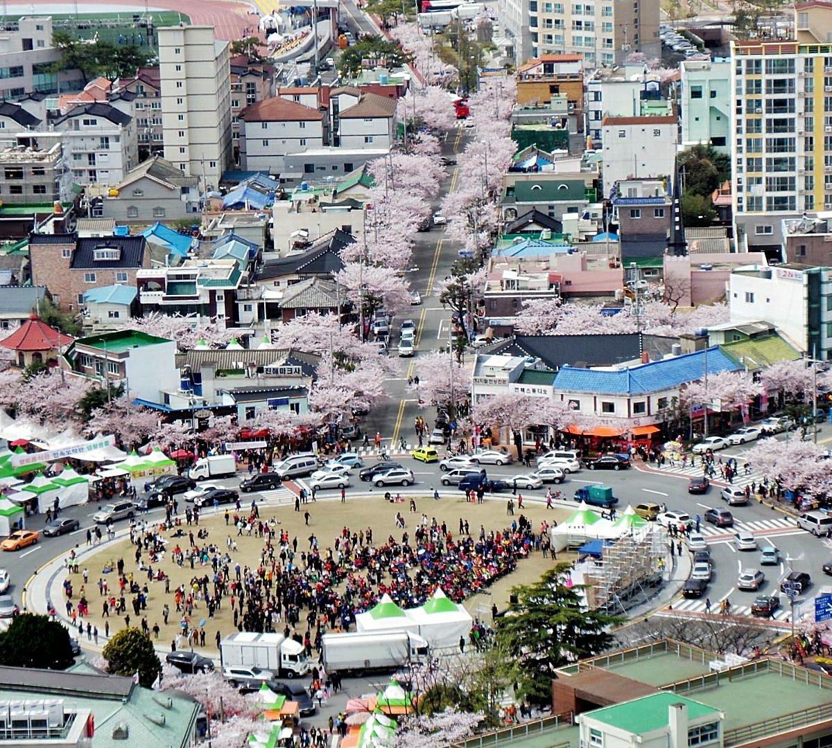 đại học sĩ quan hải quân jinhae