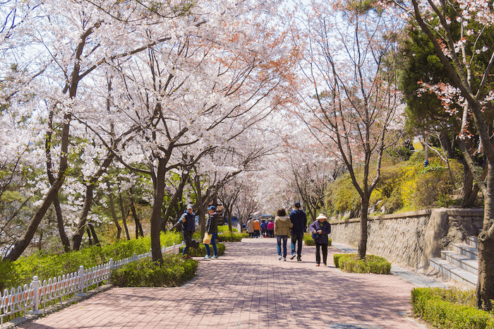 công viên incheon hàn quốc