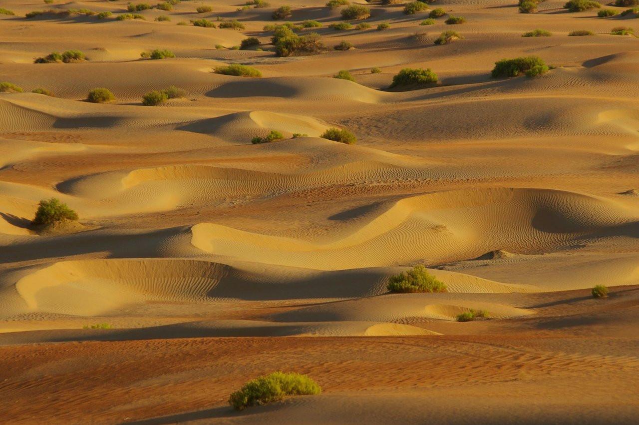 liwa oasis