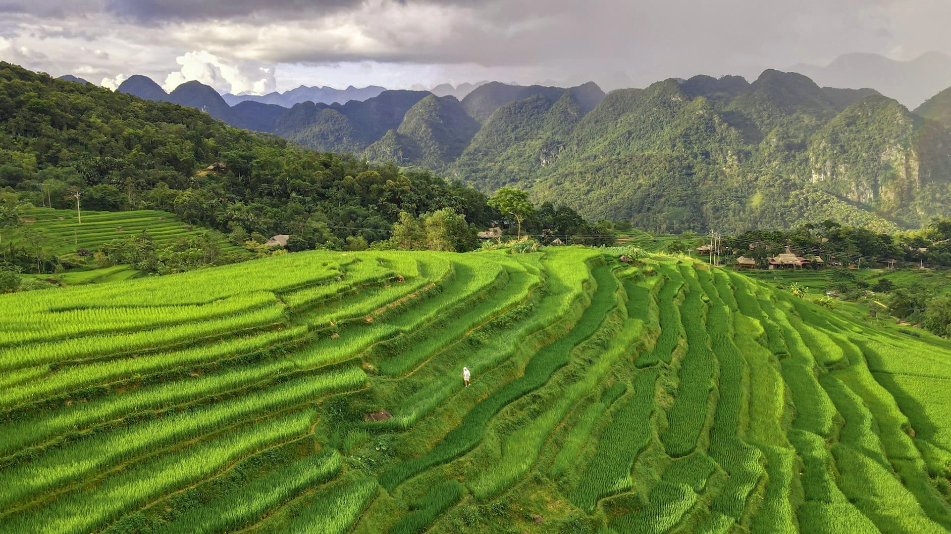 tháng 1 nên đi du lịch ở đâu miền bắc