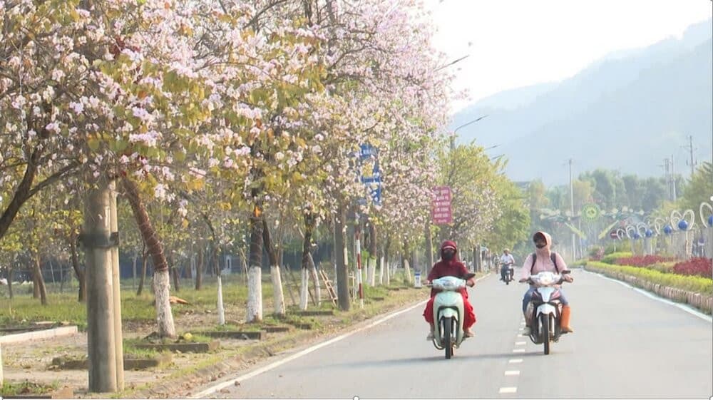 thị xã mường lay