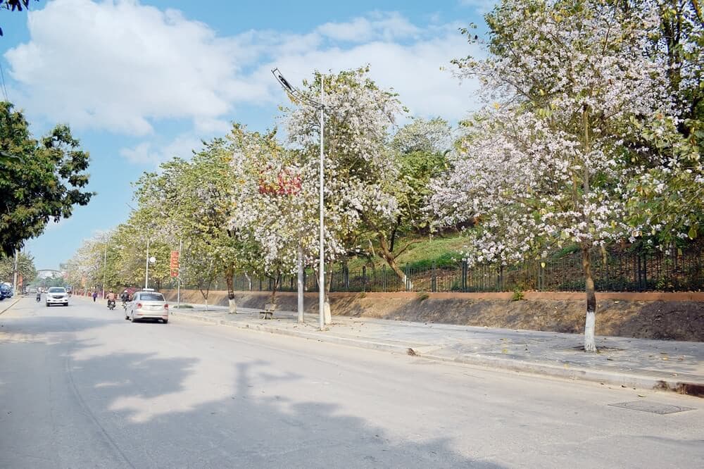 quốc lộ 6 điện biên