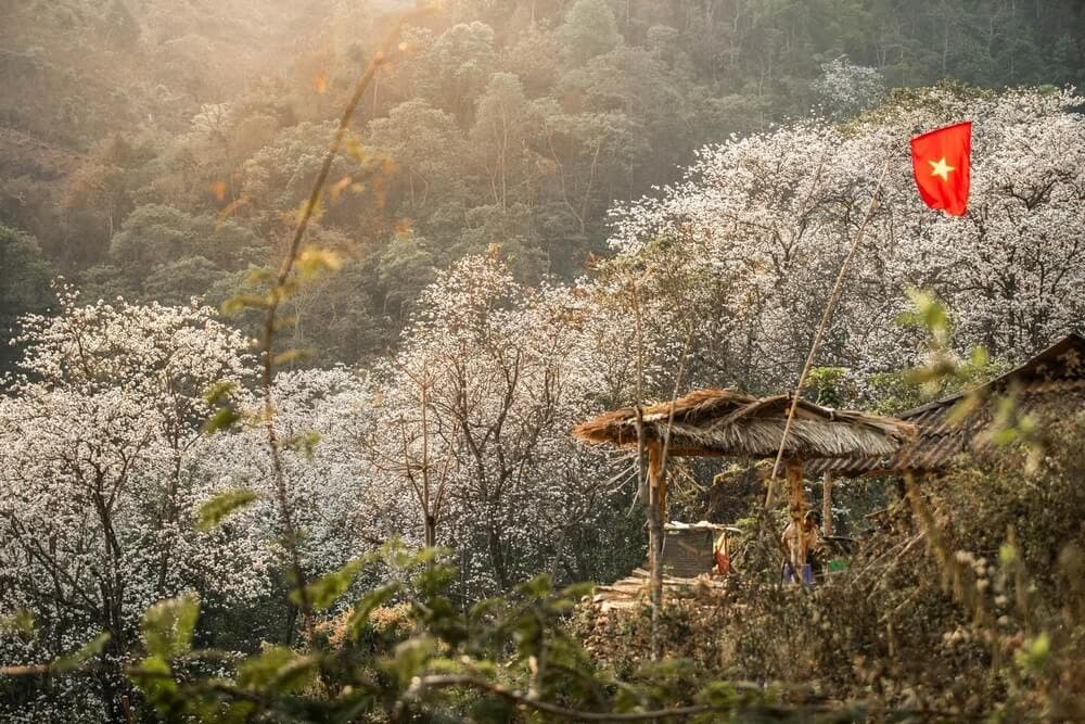 tour du lịch Điện Biên mùa hoa ban