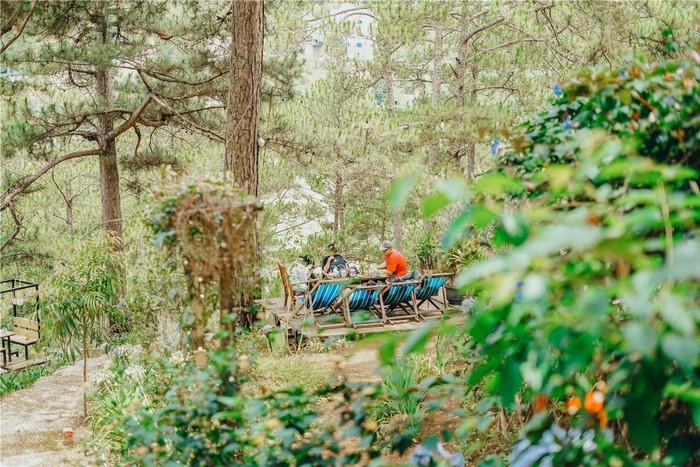 Homestay săn mây Moonrise Garden Đà Lạt  