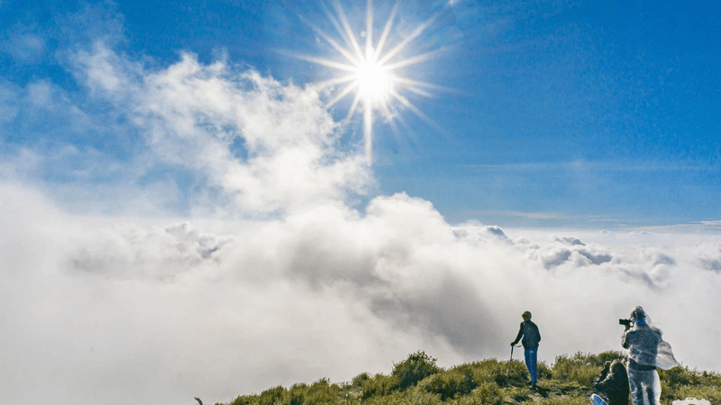 Săn mây Yên Bái, tour Yên Bái