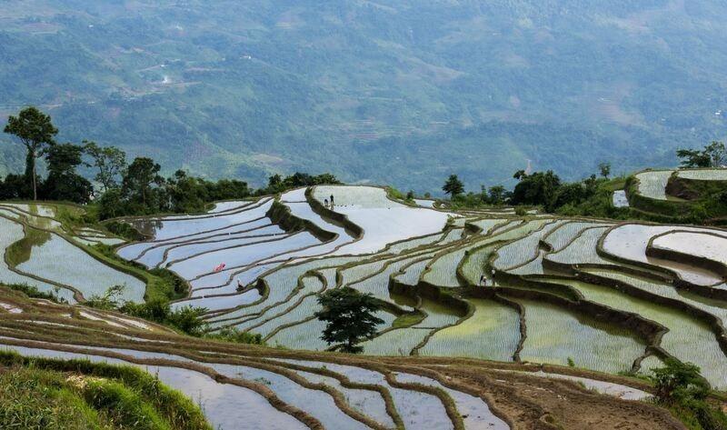 Ruộng bậc thang Hồng Thái