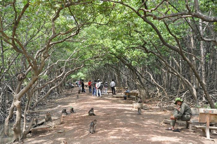 Đảo Rều (Đảo Khỉ)