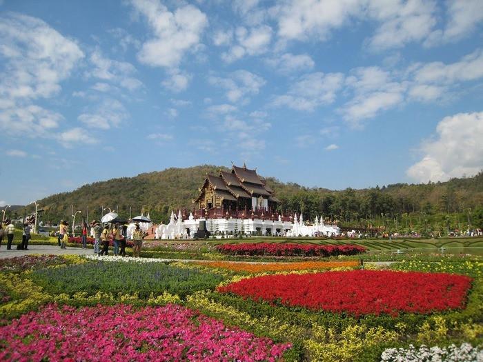 Thăm vườn hoa hoàng gia Royal Flora Garden Chiang Mai Thái Lan tết nguyên đán 