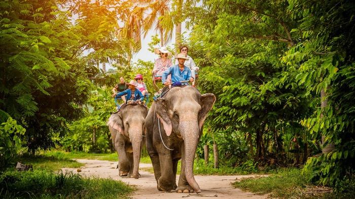 Tham quan làng voi Pattaya trong tour Thái Lan tết nguyên đán 