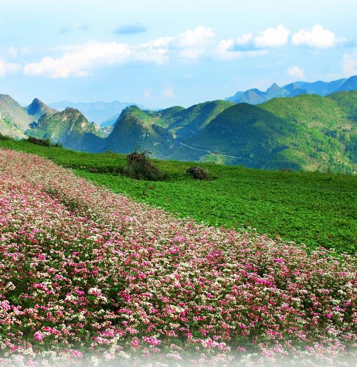 Đồng Văn Hà Giang, du lịch lũng cú đồng văn hà giang