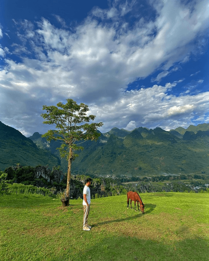 lùng tám hà giang