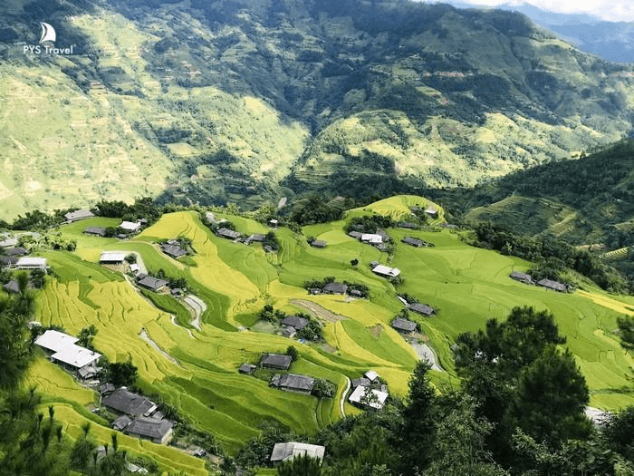 hoàng su phì hà giang