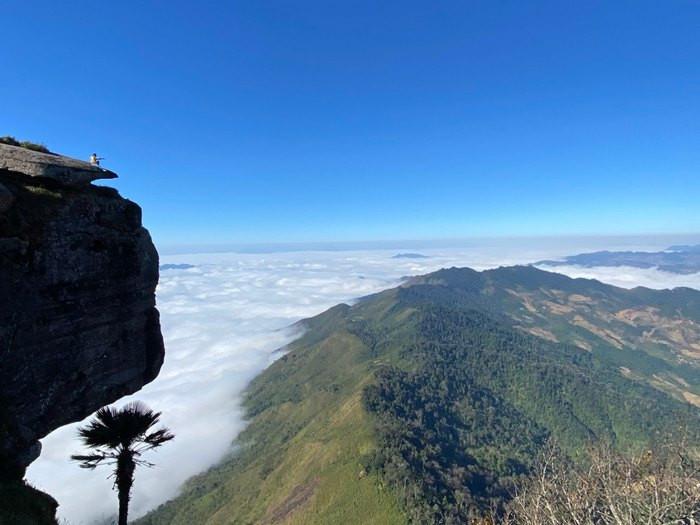 kinh nghiệm đi mộc châu