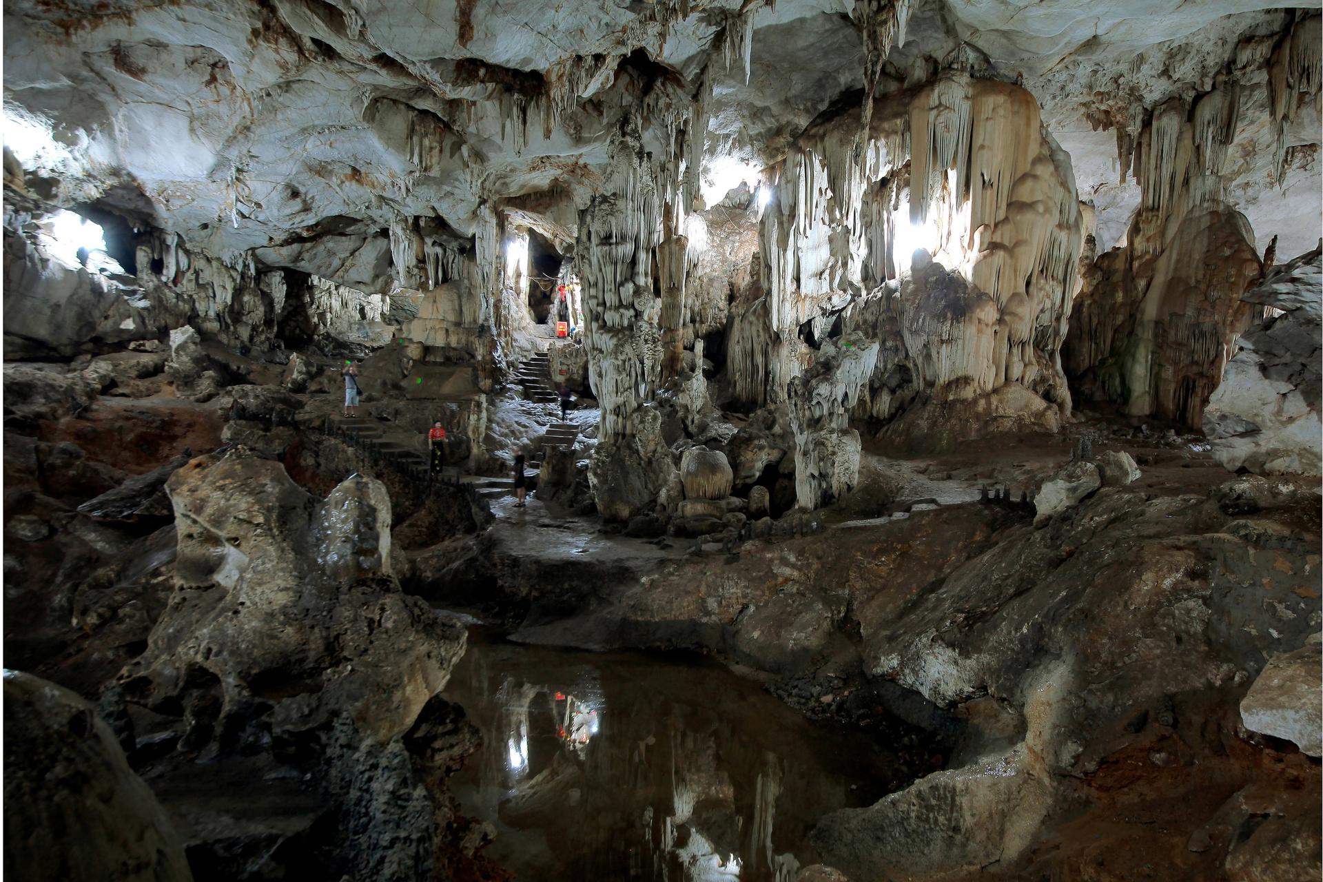 hang dơi mộc châu