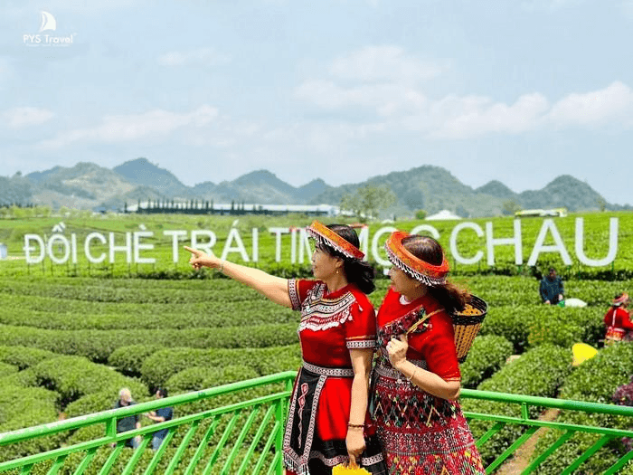 đồi chè trái tim mộc châu