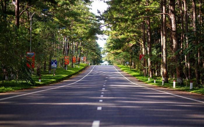 Điểm du lịch rừng thông Măng Đen 