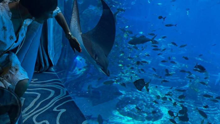 thủy cung atlantis