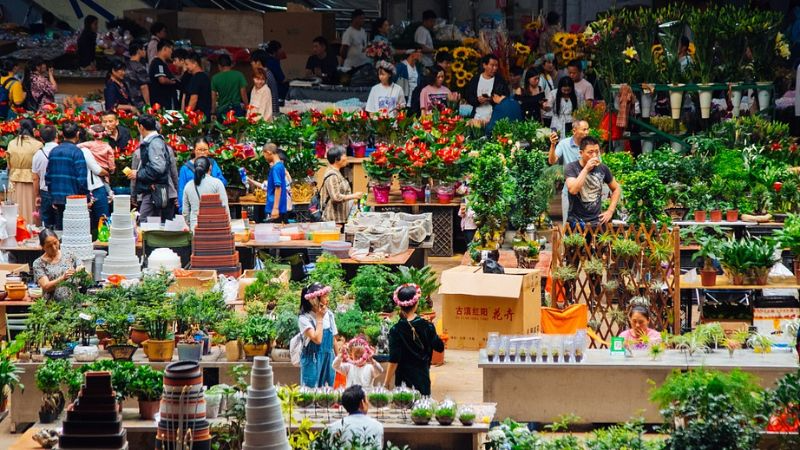 chợ hoa đấu nam