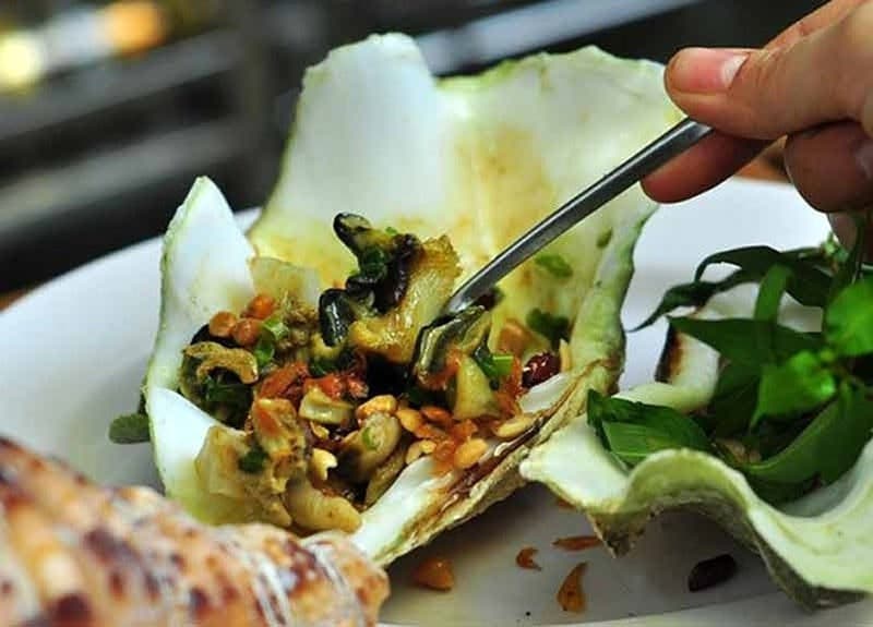Ốc tượng 