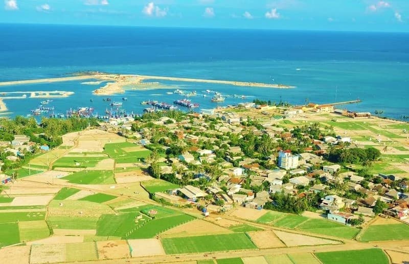 Cánh đồng tỏi Lý Sơn