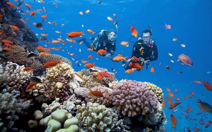 Cù Lao Chàm,Tour Hội An, du lịch Hội An, tour du lịch Hội An