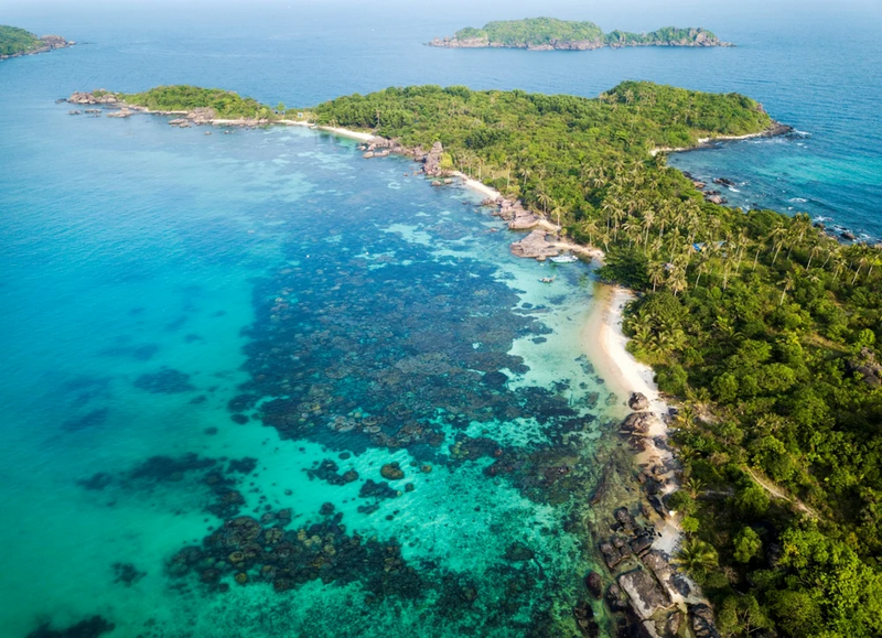 Câu mực Hòn Thơm