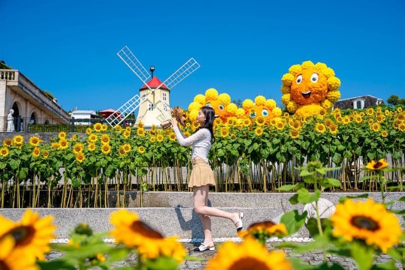 Lễ hội Hoa Hướng Dương