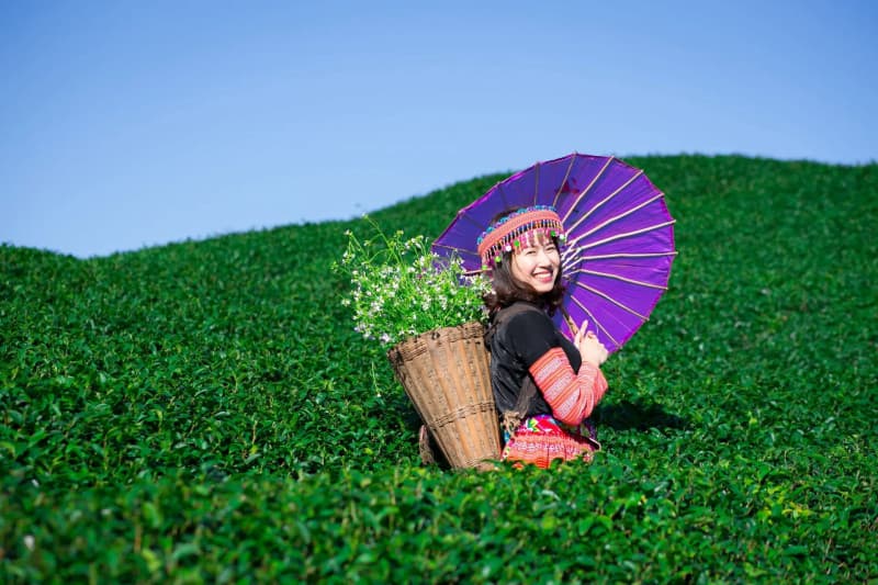 tham quan Mộc Châu