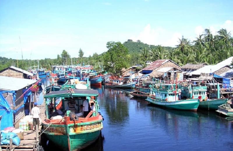 cách di chuyển