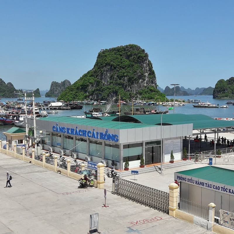 cách di chuyển