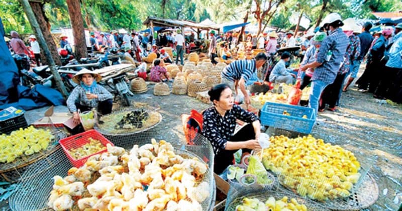 chợ quê diễn châu