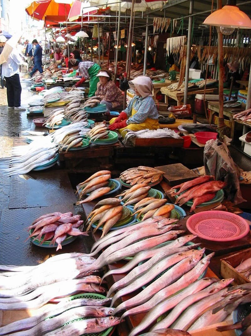 chợ hải sản cửa lò