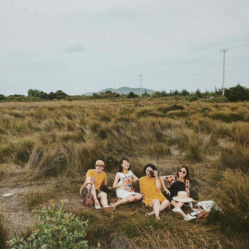 bãi cỏ châu âu