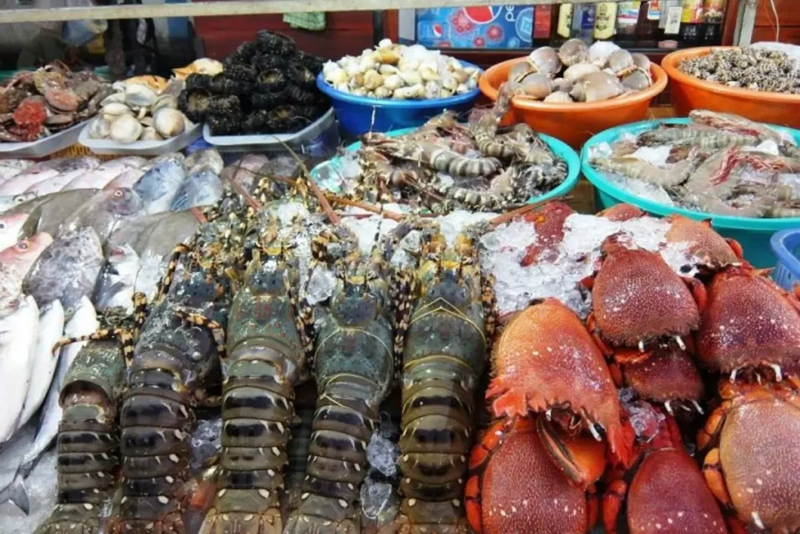 hải sản khánh hòa